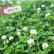 ヒメ日記 2026/04/22 09:43 投稿 もえ 錦糸町人妻セレブリティ（ユメオト）