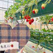 ヒメ日記 2026/04/30 19:14 投稿 もえ 錦糸町人妻セレブリティ（ユメオト）