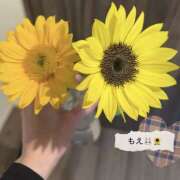 もえ 🧸お礼日記💌 錦糸町人妻セレブリティ（ユメオト）