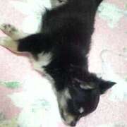 ヒメ日記 2026/03/16 21:11 投稿 律花(りつか) メンエスじゃ物足りない方の専門店！Deep