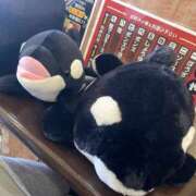 ヒメ日記 2026/03/09 12:11 投稿 華見　あゆ かりそめ