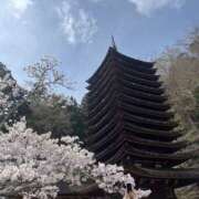 ヒメ日記 2026/04/06 11:51 投稿 華見　あゆ かりそめ