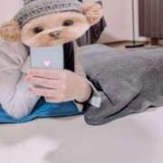 ヒメ日記 2026/03/16 21:38 投稿 あん Paradis-パラディ-