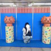 ヒメ日記 2026/02/27 21:02 投稿 ひふみ 神栖レッドダイヤ