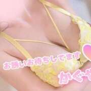 ヒメ日記 2026/07/26 08:41 投稿 かぐや★業界未経験の美女 BUNNY PLAS