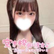 ヒメ日記 2026/04/17 09:21 投稿 もあ 桜色学園