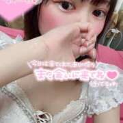 ヒメ日記 2026/02/22 18:20 投稿 しずく Ace(エース)