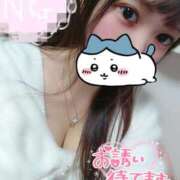 ヒメ日記 2026/02/24 07:45 投稿 しずく Ace(エース)