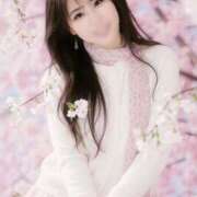 ヒメ日記 2026/04/20 08:23 投稿 桜井 はるか KOBE GOLD