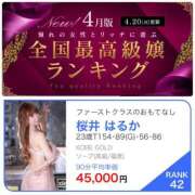 ヒメ日記 2026/04/22 19:30 投稿 桜井 はるか KOBE GOLD