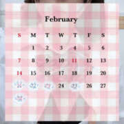 ヒメ日記 2026/02/22 10:13 投稿 ぱも 秋葉原ハンドメイド