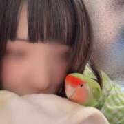 ヒメ日記 2026/02/22 19:00 投稿 にこ ハンドキャンパス新宿