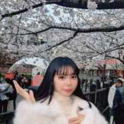 ヒメ日記 2026/03/29 19:01 投稿 Kanae THE PREMIUM （プレミアム）