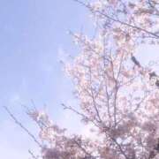 ヒメ日記 2026/03/17 06:52 投稿 あいく☆ 豊橋豊川ちゃんこ