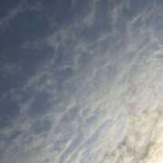 ヒメ日記 2026/03/06 08:00 投稿 原田早智 五十路マダム宇都宮店(カサブランカグループ)