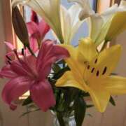 ヒメ日記 2026/03/18 07:14 投稿 原田早智 五十路マダム宇都宮店(カサブランカグループ)