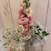 ヒメ日記 2026/03/22 08:10 投稿 原田早智 五十路マダム宇都宮店(カサブランカグループ)