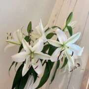 ヒメ日記 2026/03/24 07:34 投稿 原田早智 五十路マダム宇都宮店(カサブランカグループ)