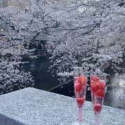 ヒメ日記 2026/03/28 07:56 投稿 原田早智 五十路マダム宇都宮店(カサブランカグループ)