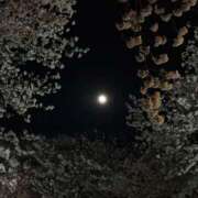 ヒメ日記 2026/04/02 21:16 投稿 原田早智 五十路マダム宇都宮店(カサブランカグループ)