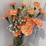 ヒメ日記 2026/04/11 08:14 投稿 原田早智 五十路マダム宇都宮店(カサブランカグループ)