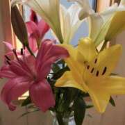 ヒメ日記 2026/05/19 08:14 投稿 原田早智 五十路マダム宇都宮店(カサブランカグループ)