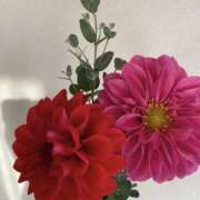 ヒメ日記 2026/06/14 07:12 投稿 原田早智 五十路マダム宇都宮店(カサブランカグループ)