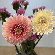 ヒメ日記 2026/08/11 00:34 投稿 原田早智 五十路マダム宇都宮店(カサブランカグループ)