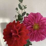 ヒメ日記 2026/08/17 15:12 投稿 原田早智 五十路マダム宇都宮店(カサブランカグループ)