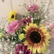 ヒメ日記 2026/09/17 08:10 投稿 原田早智 五十路マダム宇都宮店(カサブランカグループ)