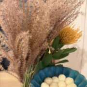 ヒメ日記 2026/09/26 07:58 投稿 原田早智 五十路マダム宇都宮店(カサブランカグループ)
