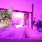 ヒメ日記 2026/02/24 12:08 投稿 高畑 AROMA VENUS