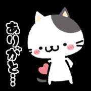 ヒメ日記 2026/03/04 07:06 投稿 高畑 AROMA VENUS