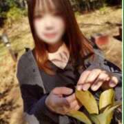 ヒメ日記 2026/02/28 09:29 投稿 長谷川 鶯谷デッドボール