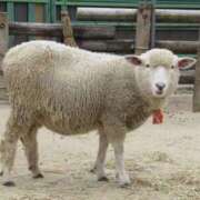 ヒメ日記 2026/02/28 14:13 投稿 まいこ ミラー