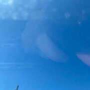 ヒメ日記 2026/03/12 11:41 投稿 まいこ ミラー