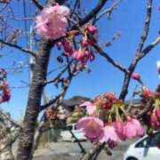 ヒメ日記 2026/03/20 22:28 投稿 まいこ ミラー