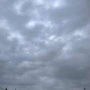 ヒメ日記 2026/03/25 12:49 投稿 まいこ ミラー