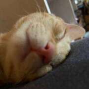 ヒメ日記 2026/04/05 09:27 投稿 まいこ ミラー