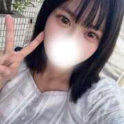 小麦-こむぎ【FG系列】 ?はじめまして? ほんつま 沼津店 (FG系列)