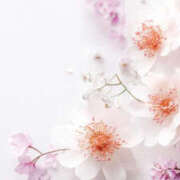 ヒメ日記 2026/03/29 21:40 投稿 まいこ 性腺熟女100％本店（デリヘル市場）