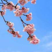 ヒメ日記 2026/03/06 17:01 投稿 のわ 萌えカワ