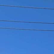 ヒメ日記 2026/03/12 11:09 投稿 のわ 萌えカワ