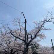 ヒメ日記 2026/04/06 20:25 投稿 みおな ニュー姫