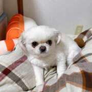 ヒメ日記 2026/04/21 17:15 投稿 みおな ニュー姫