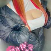 ヒメ日記 2026/05/09 09:28 投稿 るい ぽっちゃり巨乳素人専門店ぷにめろ西船橋店