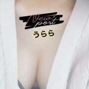 ヒメ日記 2026/03/07 17:13 投稿 うらら コーチと私と、ビート板･･･