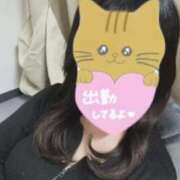 ヒメ日記 2026/02/22 08:29 投稿 もえ スピードエコ日本橋店