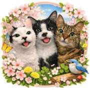 ヒメ日記 2026/02/22 11:01 投稿 みくる 即アポ奥さん〜名古屋店〜