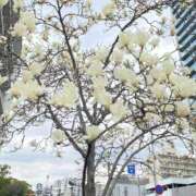 みくる ＊出勤してまーす＊ 即アポ奥さん〜名古屋店〜